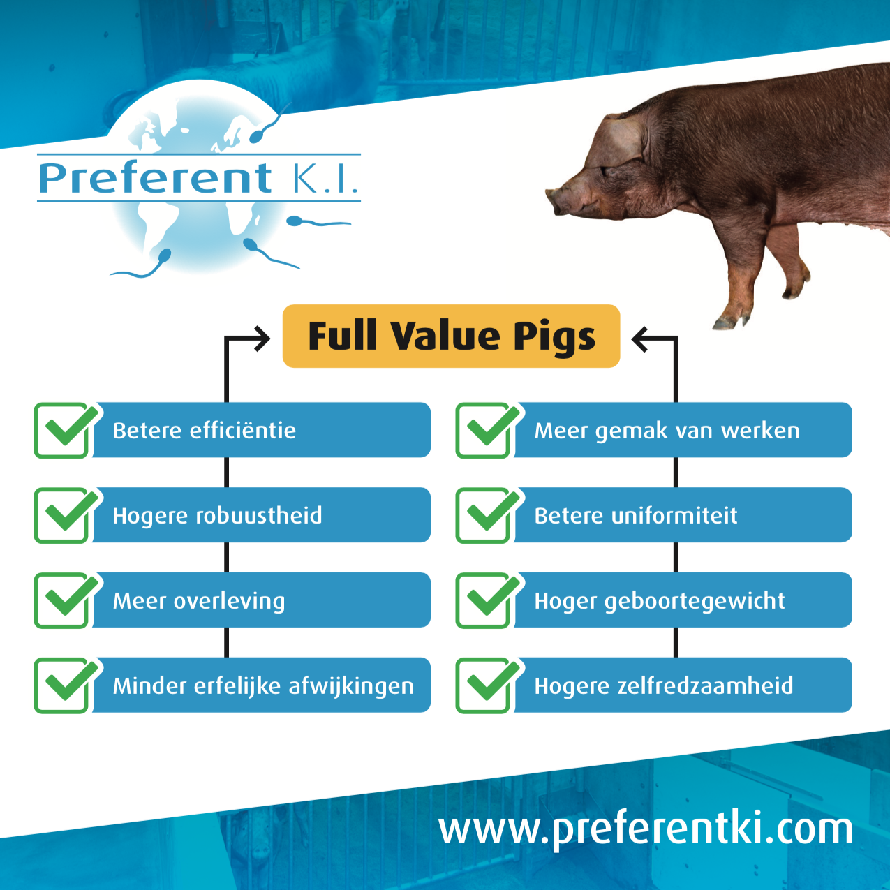 full value pigs